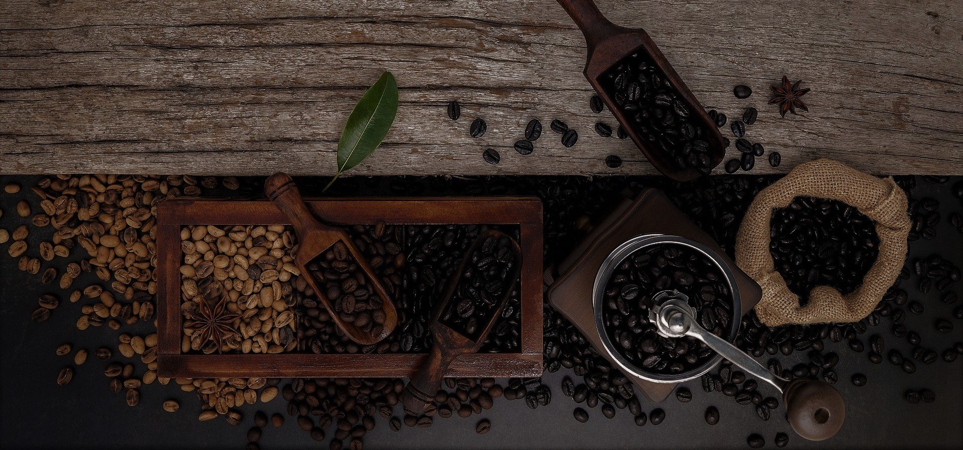 Coffee cherries and processing